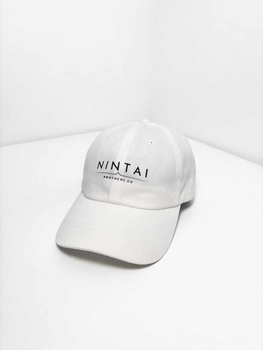 NINTAI LOGO DAD HAT