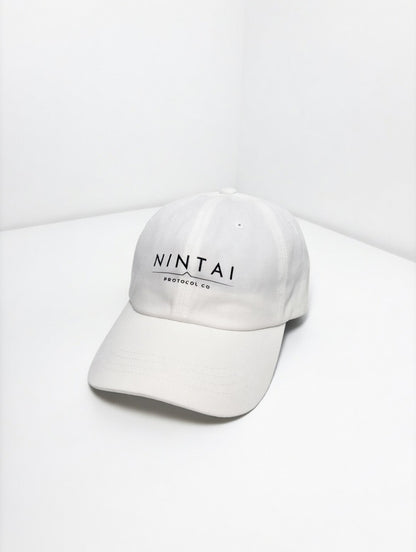 NINTAI LOGO DAD HAT